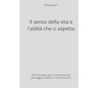 Il senso della vita e l'aldilà che ci aspetta: Perché siamo qui, il momento del passaggio, l’aldilà, le reincarnazioni