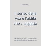 Il senso della vita e l'aldilà che ci aspetta: Perché siamo qui, il momento del passaggio, l’aldilà, le reincarnazioni