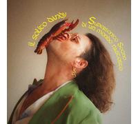 Il Solito Dandy - Supersonico Sogno Di Un Mondo Nascosto