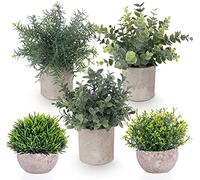 ilauke Set of 5 Mini Potted Artificial Plants Fake Small Eucalyptus Rosemary Greenery Plastic Faux Green Grass Potted Plants Decorative Fake Plant for House Office Balcony Desk Bathroom Decoration