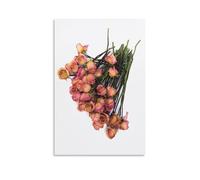 Ilcargoa Dried Pink Roses II Poster Floral Canvas Art Painting Office Home Wall Decor Gifts 08x12inch(20x30cm)