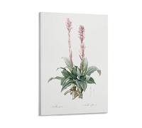 Ilcargoa Latin American Lady Orchid Poster Floral Canvas Art Painting Office Home Wall Decor Gifts 20x30inch(50x75cm)