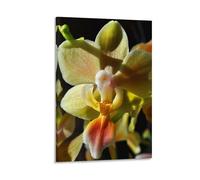 Ilcargoa Orchid Yellow Orange Poster Floral Canvas Art Painting Office Home Wall Decor Gifts 24x36inch(60x90cm)