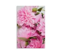 Ilcargoa Pink Peony Poster Floral Canvas Art Painting Office Home Wall Decor Gifts 16x24inch(40x60cm)