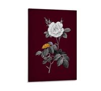 Ilcargoa White Rose on Crimson Poster Floral Canvas Art Painting Office Home Wall Decor Gifts 24x36inch(60x90cm)