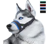 ILEPARK Nylon Soft Dog Muzzle for Dogs Prevent Anti Biting, Barking and Chewing, Adjustable Loop (XL, Blue)