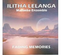 ILITHA LELANGA Marimba Ensemble - Belkits 1/24 Peugeot 207 S2000 2009 IRC Champion # BEL-001