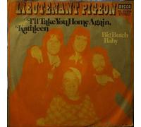 I'll Take You Home Again Kathleen [Vinyl Single 7'']