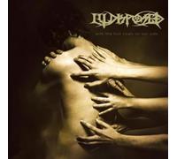 Illdisposed With the lost souls on our side CD multicolor Onesize