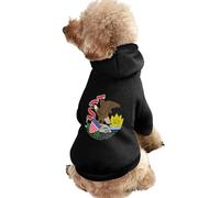 Illinois Flag United States Dog Clothes Short Sleeve Pet Hoodie Cute Cat Costume Jacket Tee for Small Dogs L