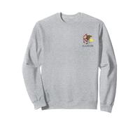 ILLINOIS STATE FLAG CHICAGO SPRINGFIELD PEORIA Sweatshirt
