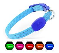 Illumifun LED Dog Collar for Puppy, USB Rechargeable Light Up Collar, Lightweight Nylon Glowing Dog Collar Light for Your Small Pups& Cats (Blue, X-Small)
