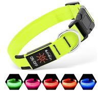 Illumifun Light Up Dog Collar, USB Rechargeable LED Dog Collar Glow in the Dark, Adjustable Pet Collar Safety Dog Lights for Night Walking (Green, Medium)