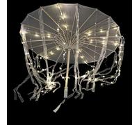 Illuminated Ancient Umbrella with LED Lighting Handheld Photography for Festivals Stage Portable LED Umbrella