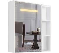 Illuminated Bathroom Mirror Cabinet Waterproof & Moisture-Proof Anti-Fog Square Mirror Storage Stylish Bath Vanity nizer with Light for Modern Bathrooms