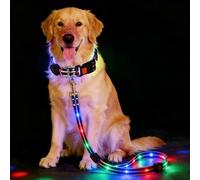 Illuminated Dog Lead, 1.2m Retractable Dog Leash 360° Tangle-Free Slip Lead for Dogs, Strong Nylon LED Illuminated Long Line Dogs Leads with Collar for Small Medium Dogs, Black