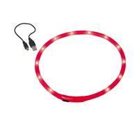 Illuminated led dog collars Nobby Pet