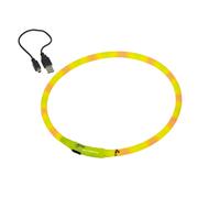 Illuminated led dog collars Nobby Pet
