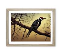 Illuminating Woodpecker Bird H1022 Framed Print for Living Room Bedroom Home Office Décor, Wall Art Picture Ready to Hang, Oak A3 Frame (46 x 34 cm)