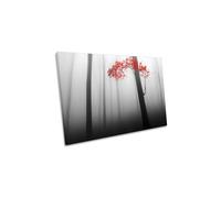 Illusion Red Leaves Misty Forest Canvas Wall Art Picture Print CanvasGeeks Red W36 inch x H24 inch x D40mm