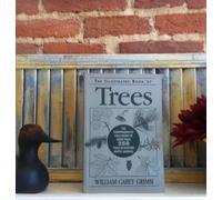 Illustrated Book of Trees