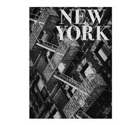 Illustrated Jigsaw Puzzle for Adults, NYC Fire Escapes, 500 PCS