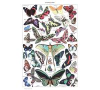 Illustration from the Larousse pour Tous: Butterflies, 1907-1910