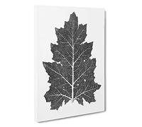 Illustration of a Leaf by Owen Jones Canvas Print | Gallery Wrapped 30mm Frame Wall Art | 30x20 inches | Ready to Hang | Modern Floral Picture | Living Room Bedroom Lounge Office
