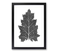 Illustration of a Leaf by Owen Jones Framed Print | A2 Black Framed Wall Art | Ready to Hang | Modern Floral Picture | Living Room Bedroom Lounge Office