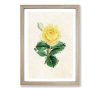 Illustration of a Yellow Rose Framed Wall Art Print A2 Oak | Ready to Hang, Premium Gi Paper, Fade-Resistant Inks, Securely Packaged, UK Made