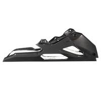 Ilmberger Carbon parts for BMW S1000 R ENGINE SPOILER