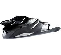 Ilmberger Carbon parts for BMW S1000 R ENGINE SPOILER