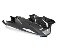 Ilmberger Carbon parts for BMW S1000 R ENGINE SPOILER