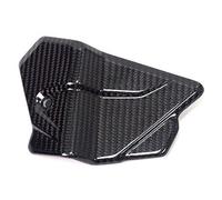 Ilmberger Carbon parts for BMW S1000 RR from 2019