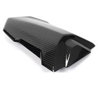 Ilmberger Carbon parts for BMW S1000 RR from 2019 CARBON PILLION SEAT COVER