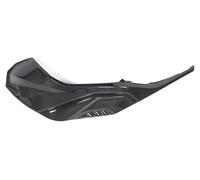 Ilmberger Carbon parts for BMW S1000 RR from 2019 CARBON SIDE COVER LEFT