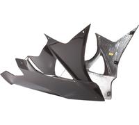 Ilmberger Carbon parts for BMW S1000 RR up to 2018 CARBON BELLYPAN ONE PIECE