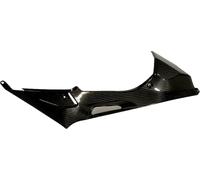 Ilmberger Carbon parts for BMW S1000 RR up to 2018 TANK SIDE PANEL RIGHT