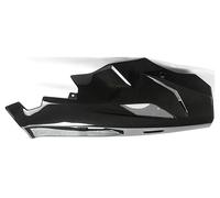 Ilmberger Carbon parts for BMW S1000 XR up to 2019 CARBON ENGINE SPOILER