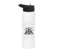 Im a Gemini Thats My Excuse Gemini Stainless Steel Insulated Water Bottle