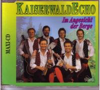 Im Angesicht der Berge