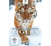 Im Bann des Sibirischen Tigers (DVD)