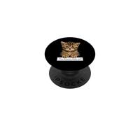 I'm Boutta Crash Out - Funny Cat Meme Humor Stressed Kitten PopSockets Adhesive PopGrip