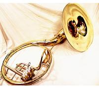IM Brass Bb Sousaphone, 22'' Gold, Modern Style with Polished Finish & Carry Bag