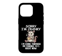 I'm Cranky I'm Going Through My Terrible 70’s Funny Possum Case for iPhone 16 Pro