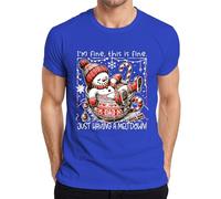 I'm fine This is fine Meltdown Snowman Funny Mens T-Shirt, blue, S