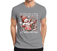 I'm fine This is fine Meltdown Snowman Funny Mens T-Shirt, gray, XL