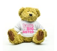 I'm Going To be A Big Sister Teddy Bear - Gifts for Sister - Sibling Present - New Baby Announcement - Pregnancy Announcement Gift for New Sister