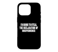 I'm Going To Steal The Declaration of Independence Gifts Case for iPhone 16 Pro