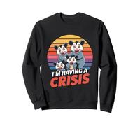 I'm Having A Crisis T. Shirt With 4 Possums On It Sweatshirt
